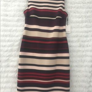 NWT Calvin Klein dress,size 10
